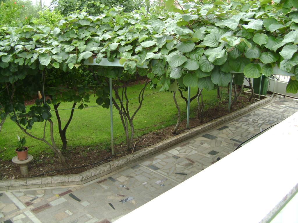 Apartmani Tome ซาดาร์ ภายนอก รูปภาพ