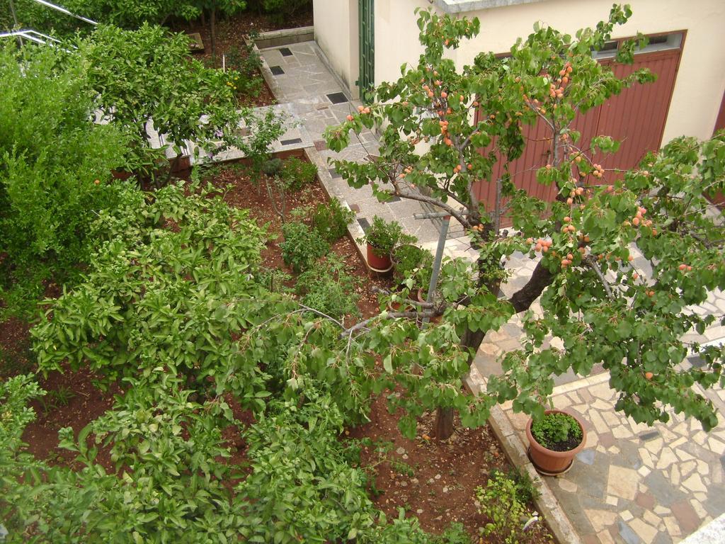 Apartmani Tome ซาดาร์ ภายนอก รูปภาพ